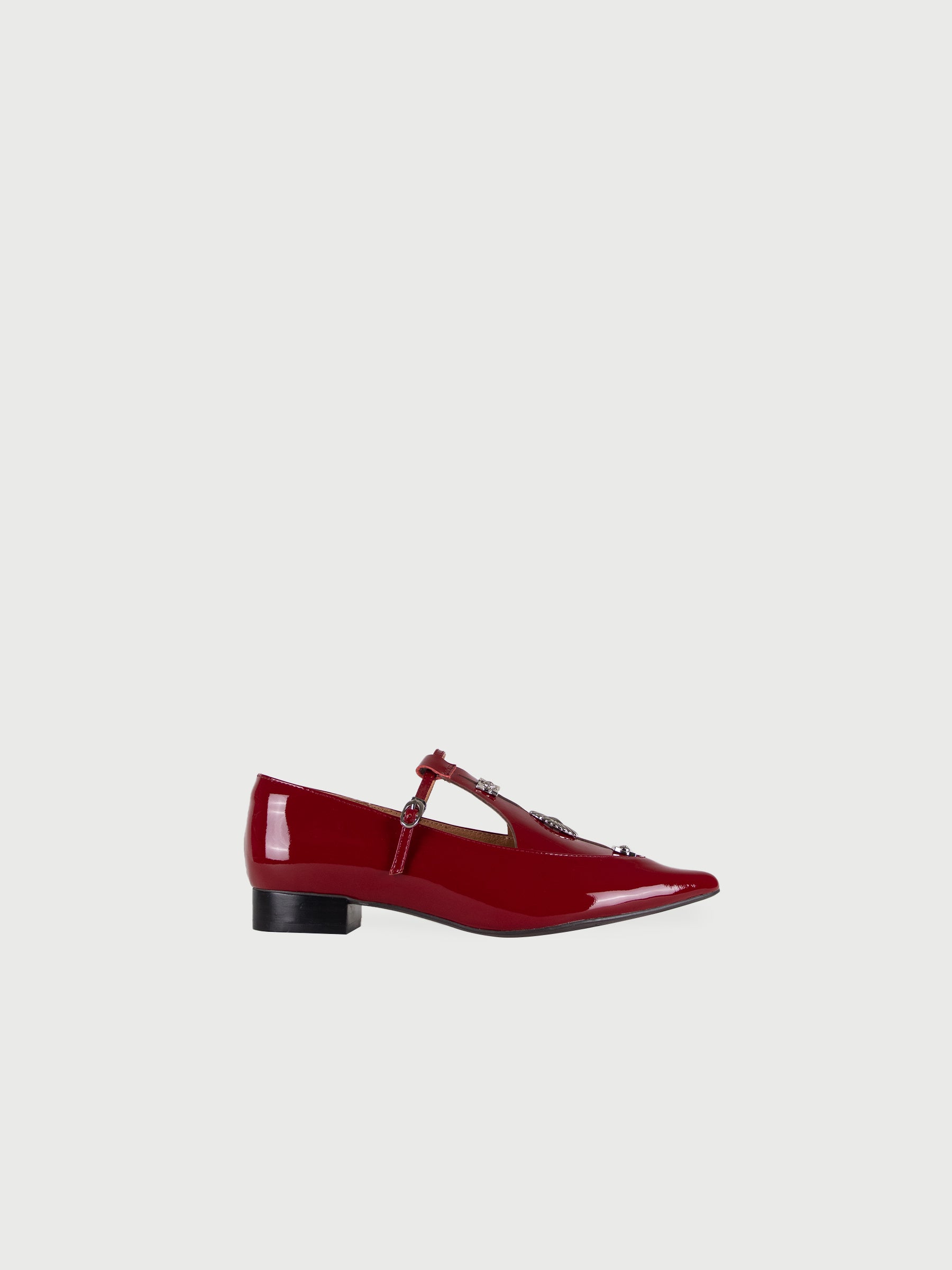Alicent | Pointed Toe Metal Pierce Mary Jane Flats