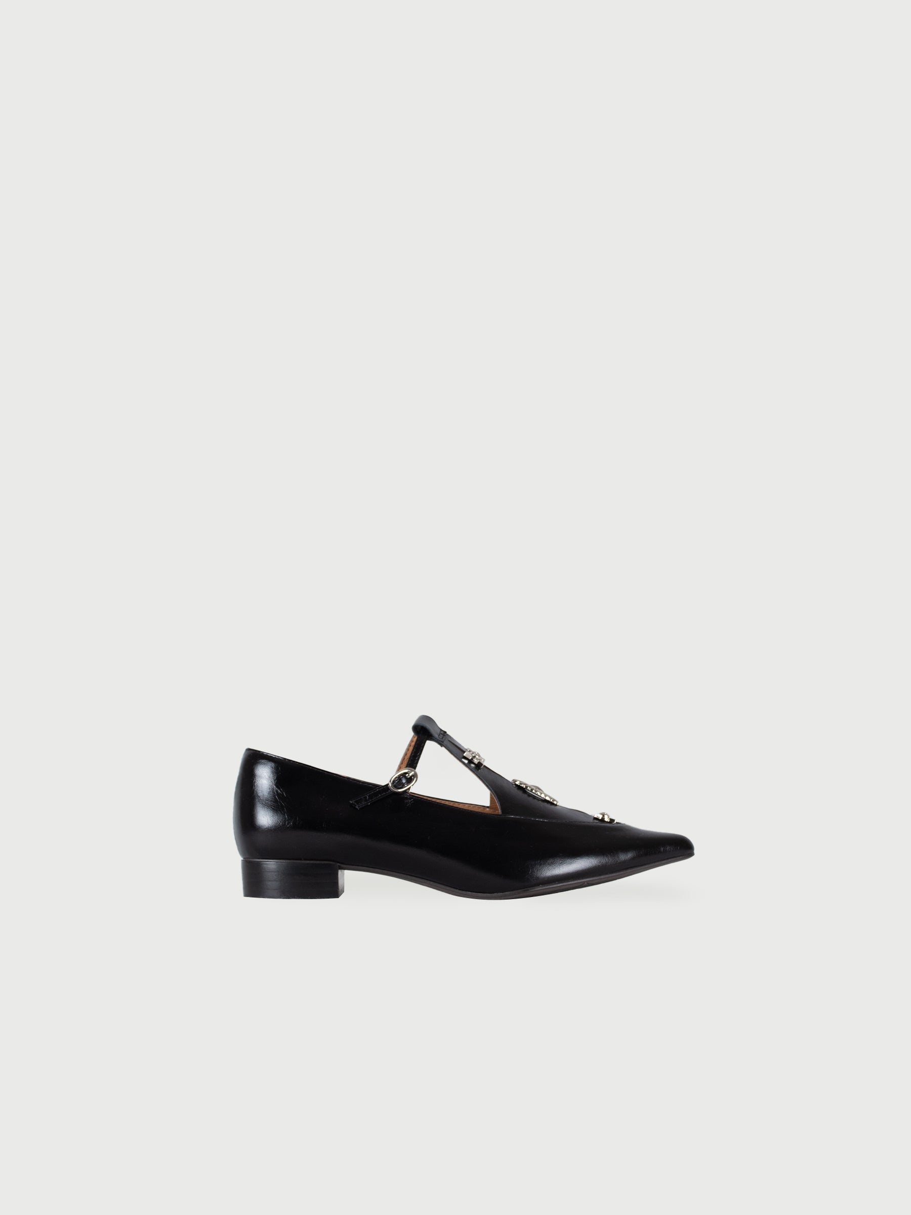 Alicent | Pointed Toe Metal Pierce Mary Jane Flats