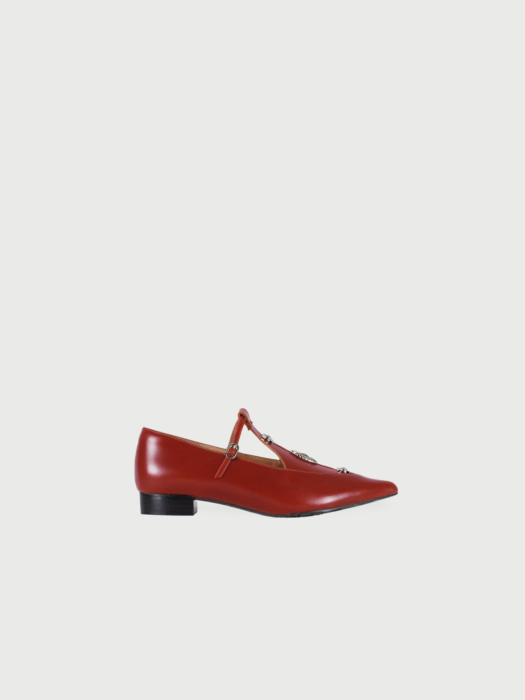 Alicent | Pointed Toe Metal Pierce Mary Jane Flats