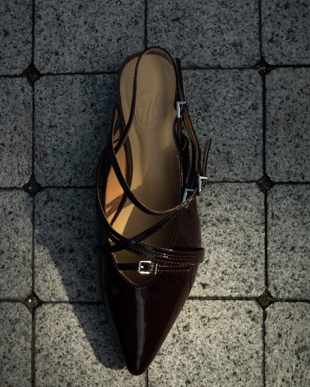 Seraphine 𖤓 Pointed Toe Multi-Strap Buckle Leather Heels